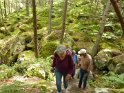 2014-06-05 15-35-06 Foret de Fontainebleau FGn